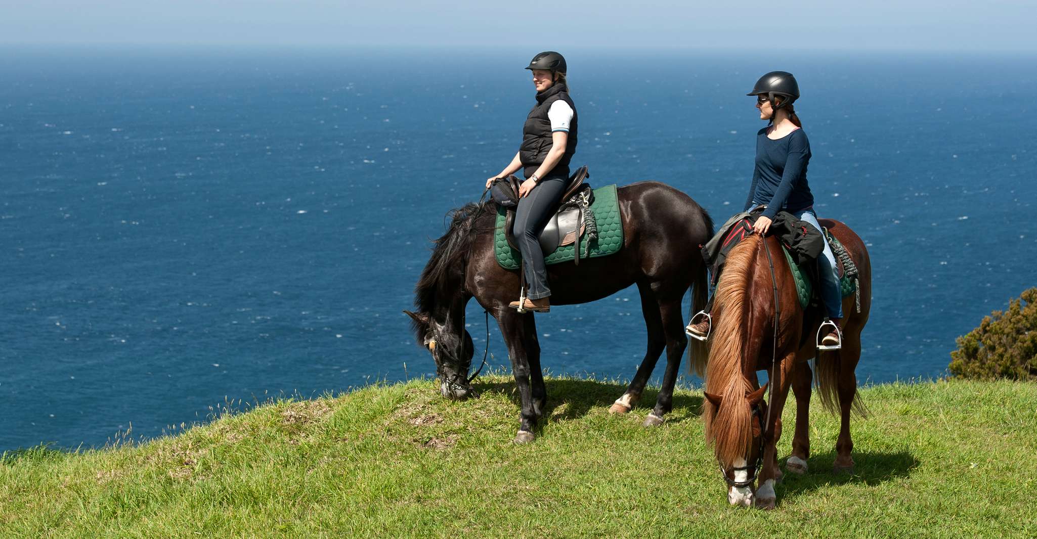 Faial Island, cavallo a cavallo su Lusitano Trail (1,5 ore) - Housity
