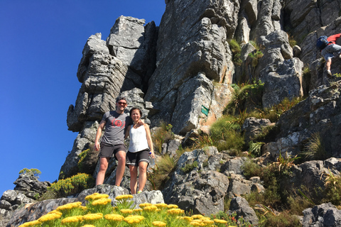 Cape Town: India Venster Half-Day Hike on Table Mountain