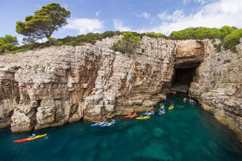 Dubrovnik: Tour di mezza giornata in kayak in mareDubrovnik: tour di mezza giornata in kayak di mare