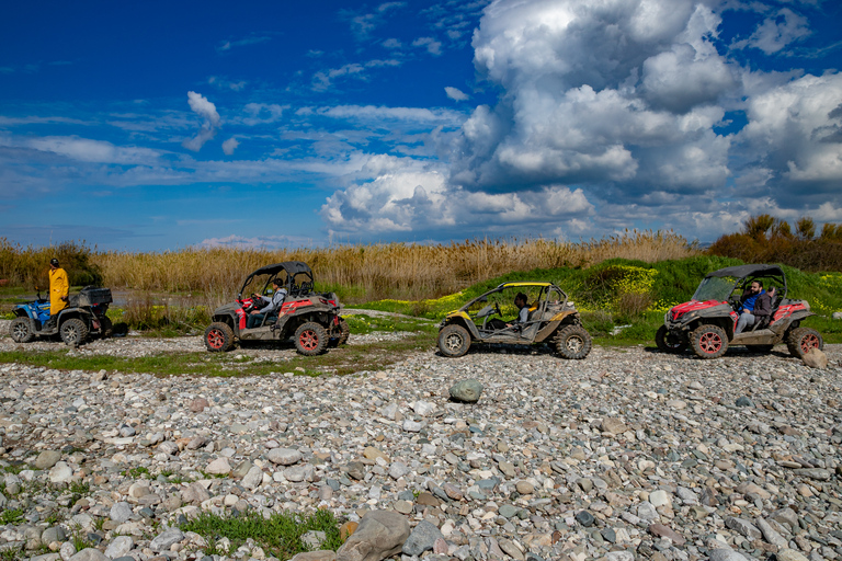 Paphos: 4x4 ATV & Buggy Safari Tour naar de Rots van Aphrodite2-zits ATV/Buggy