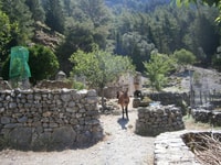 Da Georgioupolis, trasferimento di andata e ritorno a Samaria Gorge - Housity