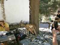 Da Georgioupolis, trasferimento di andata e ritorno a Samaria Gorge - Housity