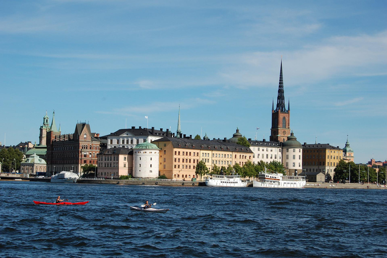 Visite d&#039;une demi-journée de Stockholm en VIP, y compris le musée du bateau Vasa