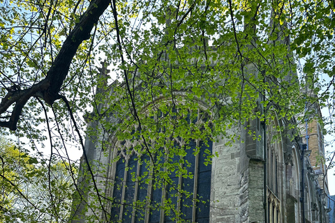 Promenade historique dans Stratford-upon-Avon - Tustin's Tours