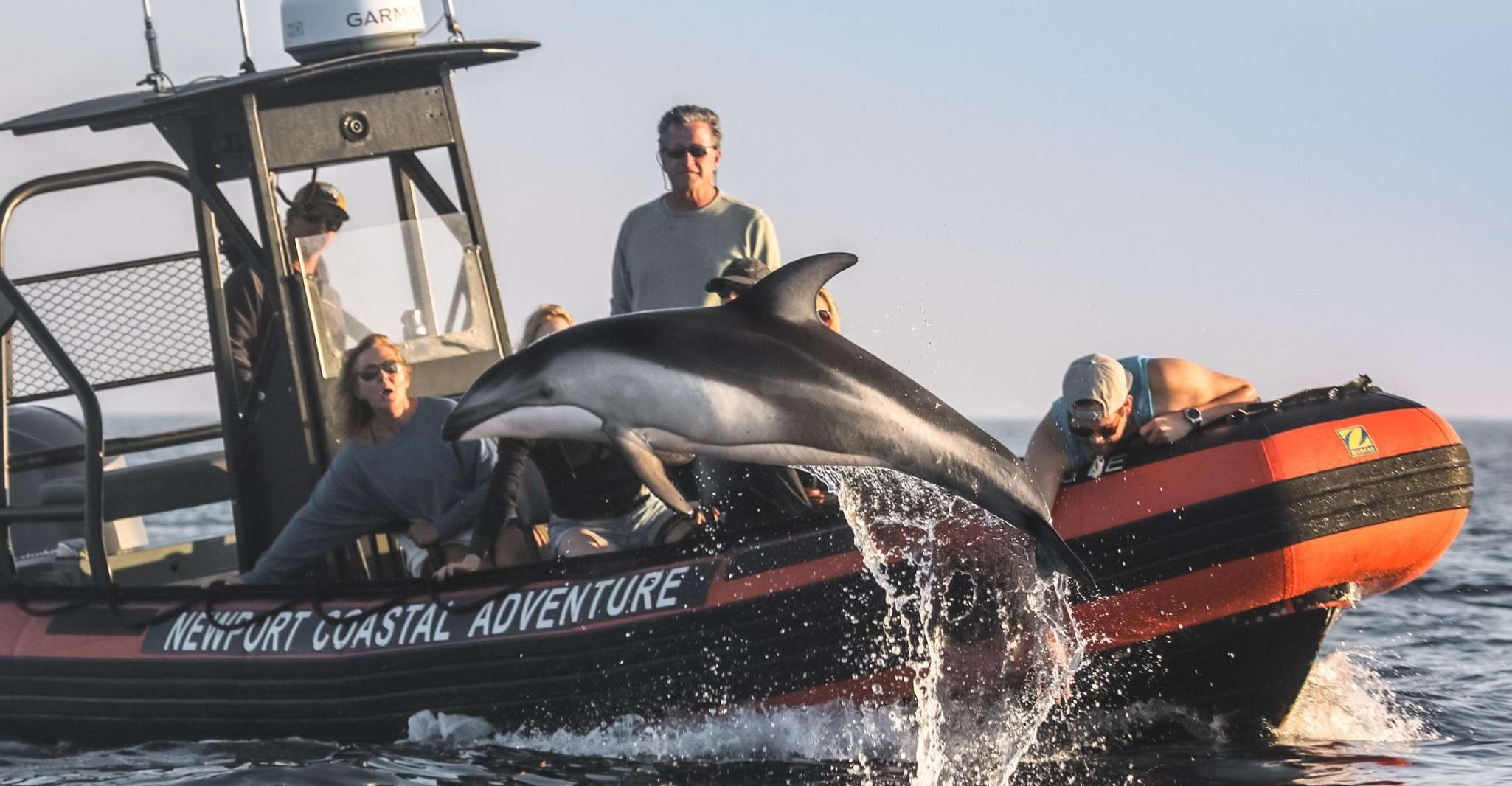 Newport Beach, Ultimate Whale Watching Adventure - Housity