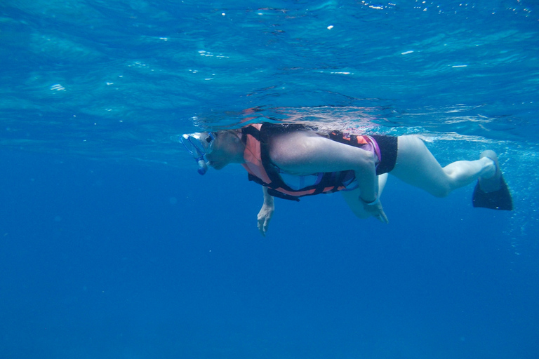 Riviera Maya: visite d'Isla Mujeres avec déjeuner de fruits de mer