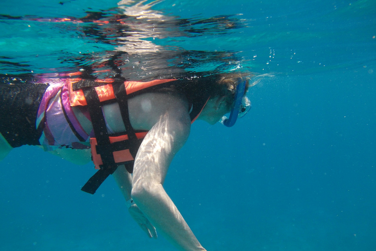 Riviera Maya: visite d'Isla Mujeres avec déjeuner de fruits de mer