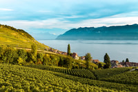 De Lausanne, Tour de la Côte d'Azur - Hizvo