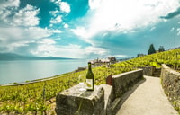 De Lausanne, Tour de la Côte d'Azur - Hizvo