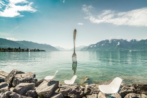 Z Genewy: wycieczka po szwajcarskiej riwierzeSwiss Riviera Winter Tour