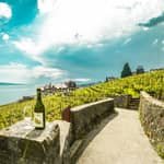 Ginevra: Montreux, Mondo di Chaplin, Castello di Chillon e Apéritif