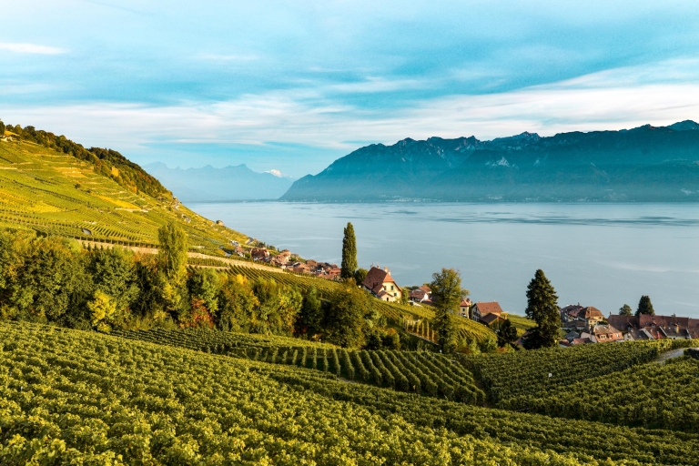 Desde Ginebra: Swiss Riviera TourPaquete completo de Riviera suiza