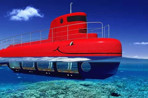 Submarine Tour with Nemo