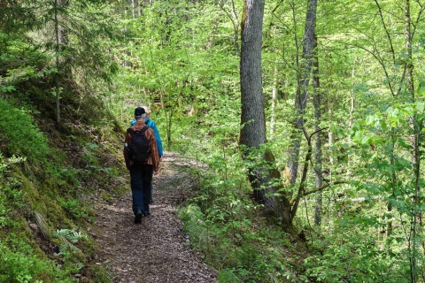 Sigulda piesze wycieczki: Dzień w Szwajcarii Łotwystandard Opcja