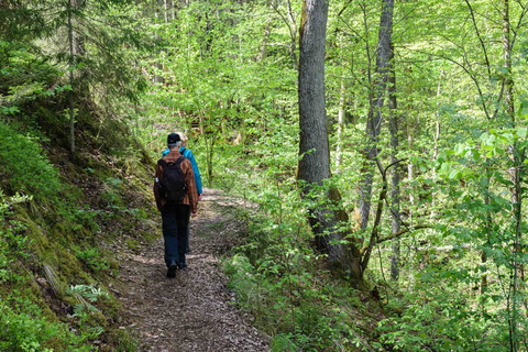 Sigulda Wandelen Tour: Een dag in het Zwitserland van Letlandstandaard Optie