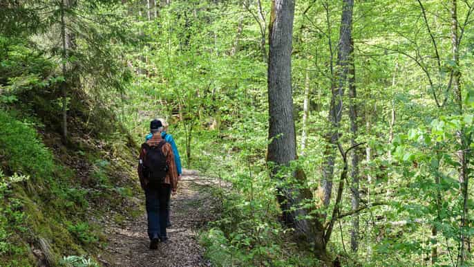 sigulda hiking tour a day in the switzerland of latvia