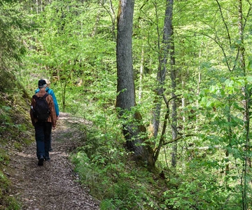 Sigulda Hiking Tour: Um dia na Suíça da Letónia