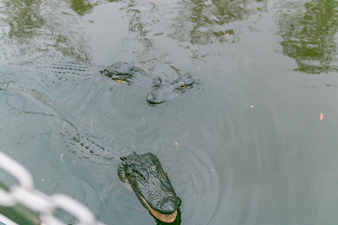 Från New Orleans: Swamp Airboat, 2 Plantation Tours &amp; Lunch