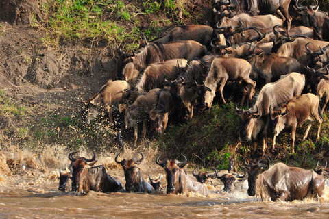 Masai Mara: safari di 4 giorni per la grande migrazione degli gnu