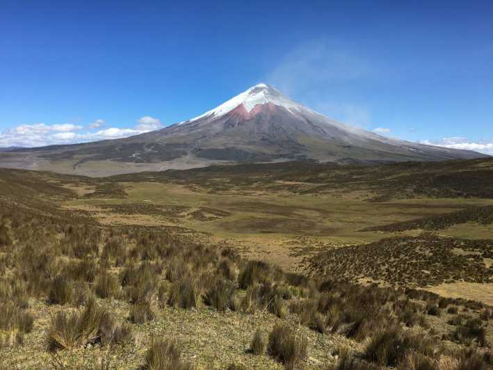 Cotopaxi Horseback Riding Tour from Quito | GetYourGuide