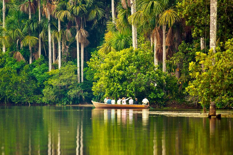 Tambopata Tour 4 Days