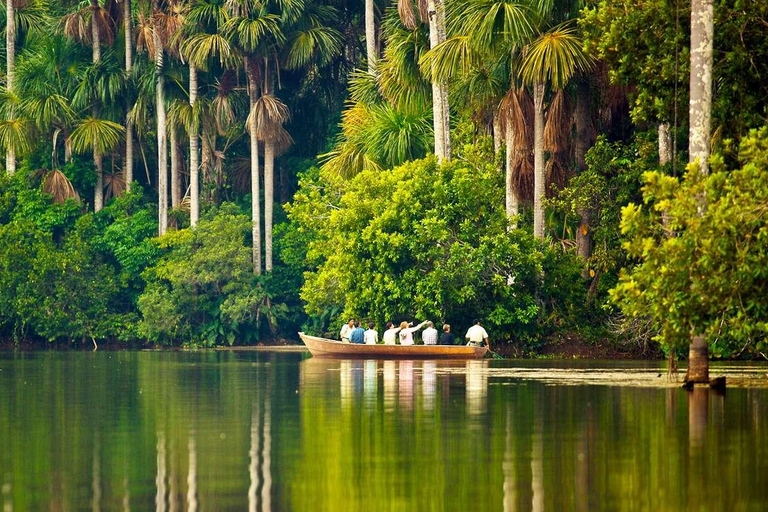 Tambopata Tour 4 Days