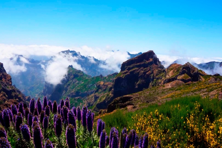 Funchal: szczyt Arieiro, wycieczka 4x4 do doliny zakonnic i obserwacja delfinówFunchal: Land and Sea Jeep Tour i Dolphin Watching