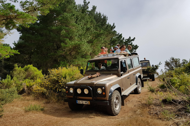 Funchal: szczyt Arieiro, wycieczka 4x4 do doliny zakonnic i obserwacja delfinówFunchal: Land and Sea Jeep Tour i Dolphin Watching