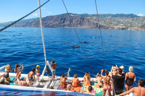 Funchal: szczyt Arieiro, wycieczka 4x4 do doliny zakonnic i obserwacja delfinówFunchal: Land and Sea Jeep Tour i Dolphin Watching