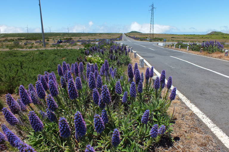 Madeira: Full-Day Private Jeep Tour (East or West)