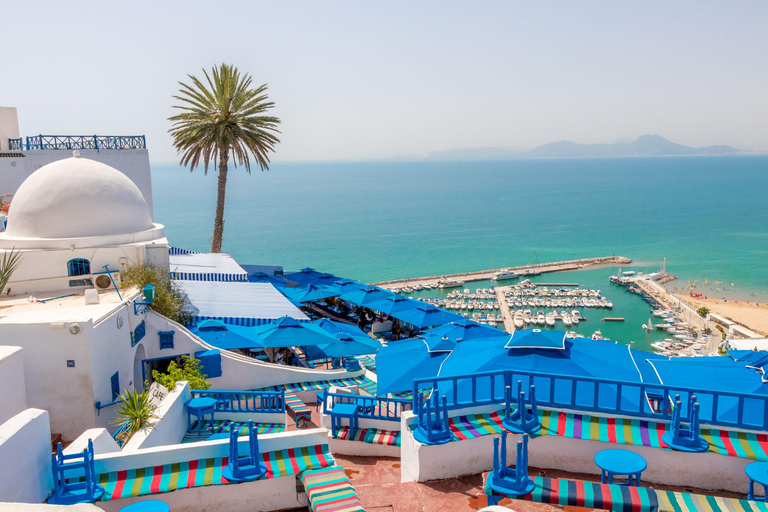 From Hammamet: Day Trip to the Medina of Tunis, Carthage, and Sidi Bou Said