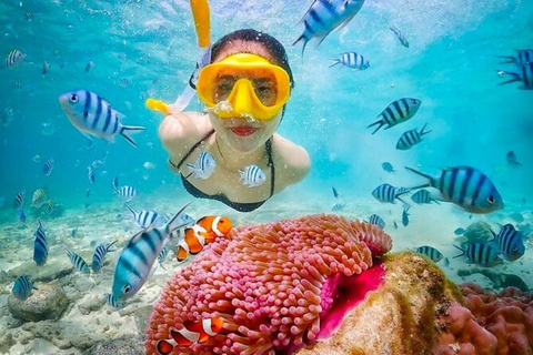 Zanzibar: Blue Lagoon Snorkeling, Starfish Beach & The Rock TOUR WITH HOTEL TRANSFER
