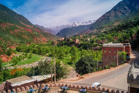 Marrakech: Atlasgebergte, Ourika waterval met gids+lunchGroepsreis