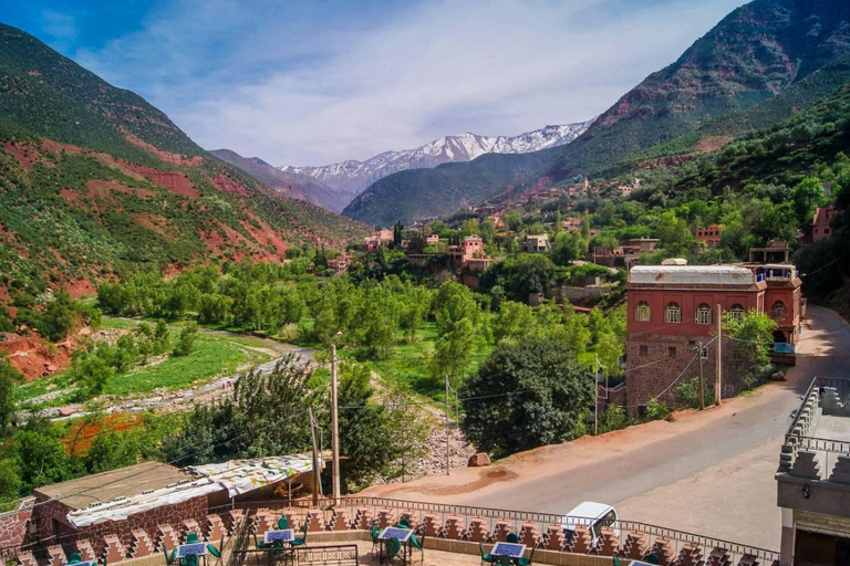 Marrakech: Atlasgebergte, Ourika waterval met gids+lunchGroepsreis