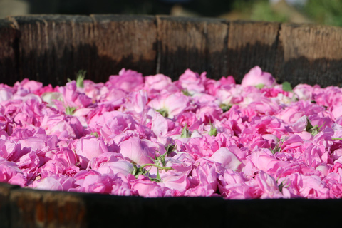 Desde Sofía: Rose Valley Tour y sitio de la UNESCO Kazanlak