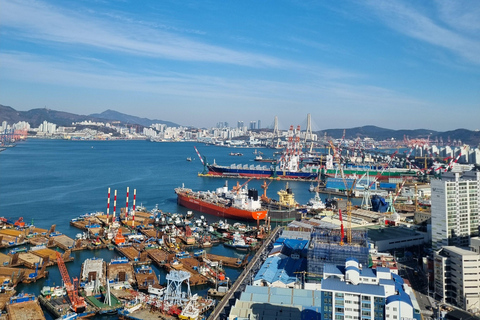 Max Out Busan: Hoogtepunten van de topattracties Eendaagse stadstourGedeelde Tour - Bijeenkomst op station Seomyeon