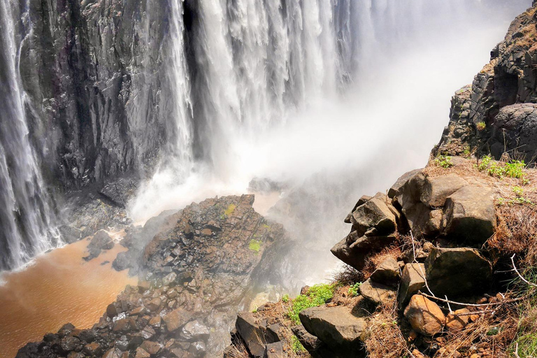 Victoria Falls: Family-Friendly Guided Walking Tour