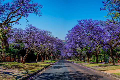 Pretoria: Half-Day City Tour