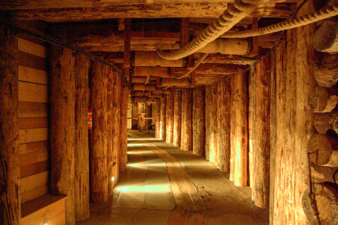 Ab Krakau: Tour im Salzbergwerk Wieliczka mit Hotelabholung