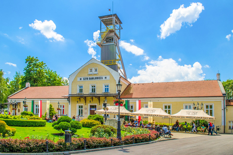 Vanuit Krakau: tour Wieliczka-zoutmijn met ophaalservice