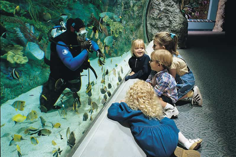 Long Beach: Ticket ohne Anstehen für Aquarium of the Pacific - 146