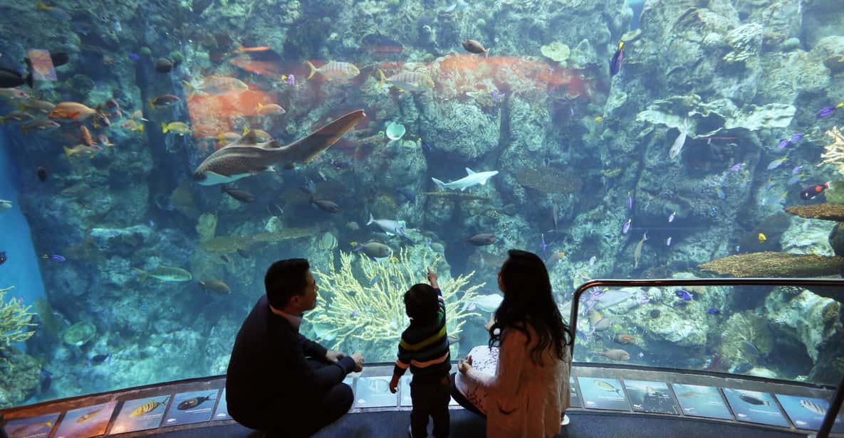 Los Angeles: Aquarium of the Pacific Skip-the-Line Tickets