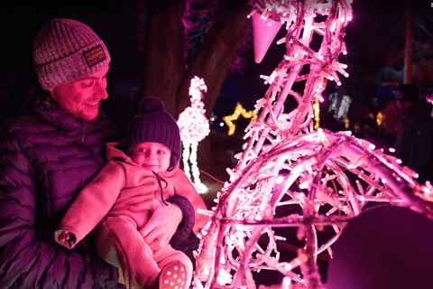 LUMAGICA 因斯布鲁克 25/26