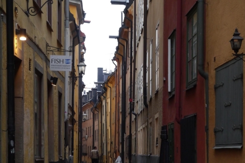 Stockholm: visite de la ville de 3 heures avec guide