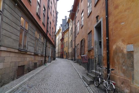 Stockholm: privérondleiding met gids en toegang tot het Vasamuseum