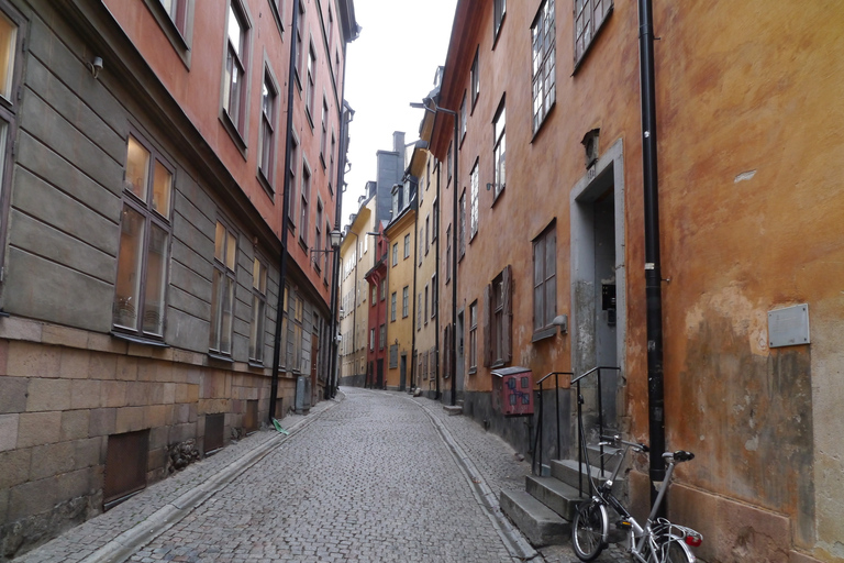 Stockholm: 3-Hour City Tour with Live Guide