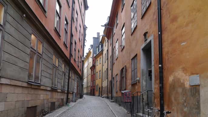 stockholm 3hour city tour with live guide