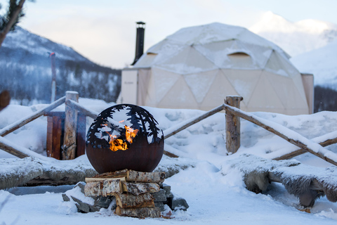 From Tromsø: Advanced Dog Sledding Tour at Camp Tamok Advanced Dog Sledding Tour: Midday Departure