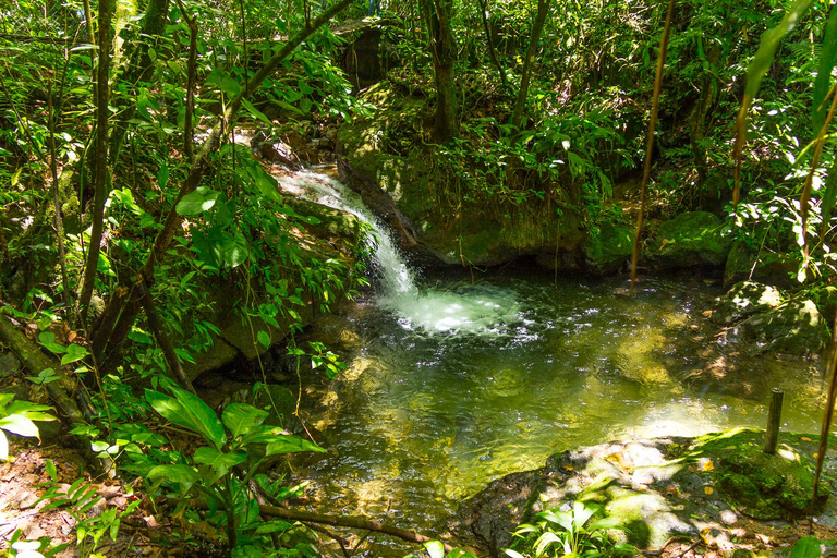 San Pedro Sula: Azul Meámbar National Park Day Trip