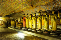 Sigiriya Dambulla & Minneriya Safari con pickup/drop - Hizvo